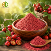 Rosehip Powder
