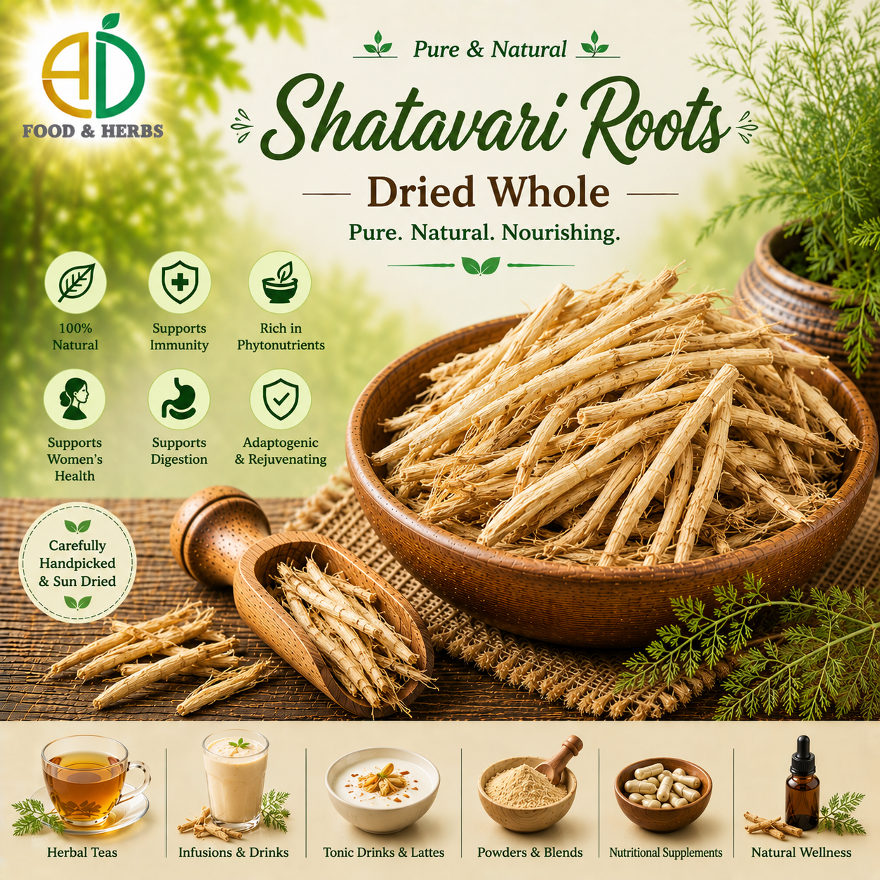 Dried Shatavari roots