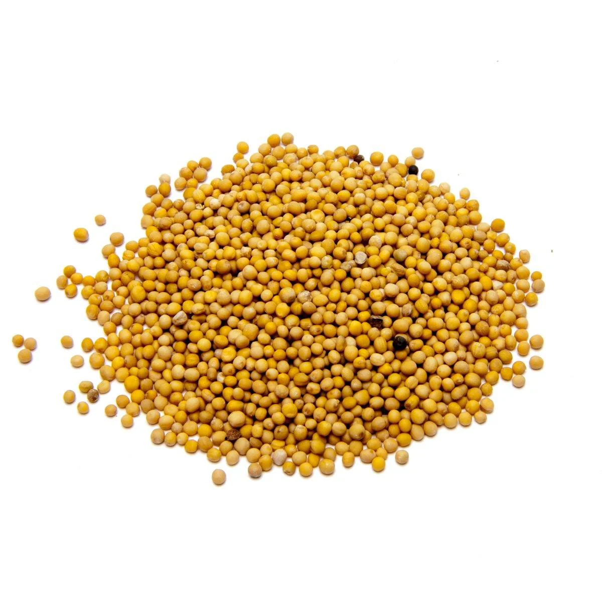 Mustard seeds