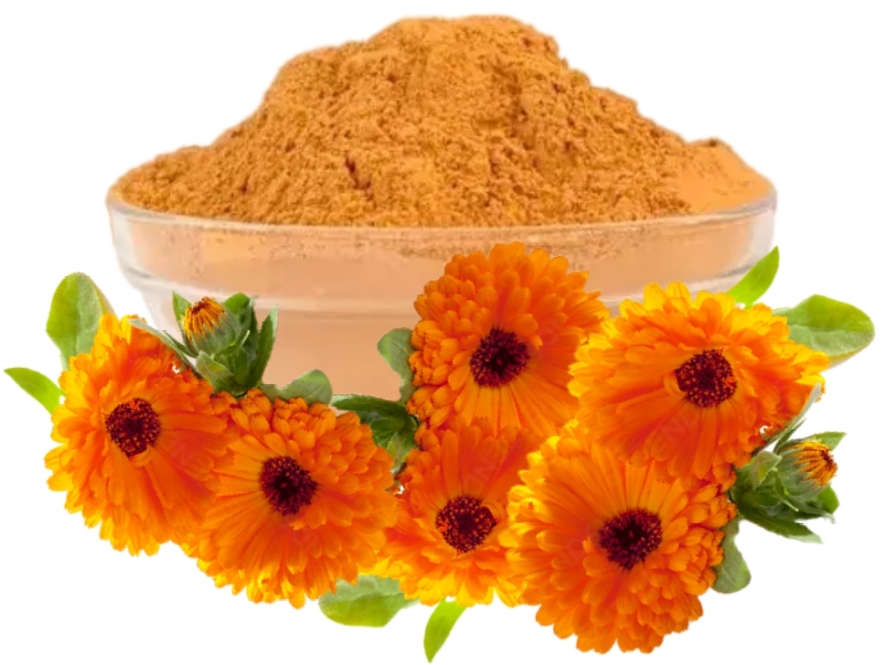 Dried Calendula Petals Powder